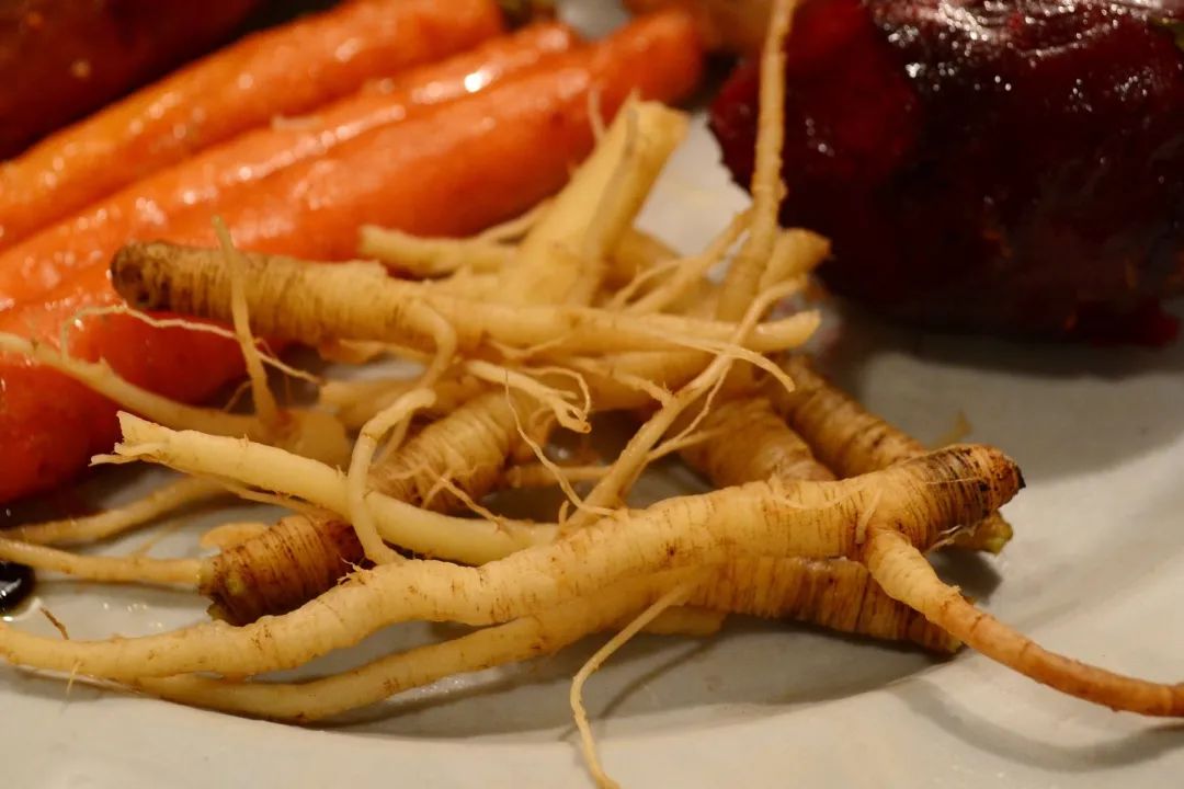 野生胡萝卜的淡黄色根,图片来源:thenorthwestforager.com