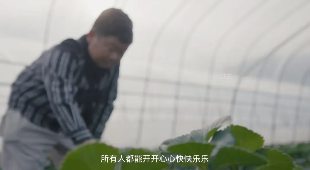 1.35米男子成百万网红，真相让人大开眼界休闲区蓝鸢梦想 - Www.slyday.coM