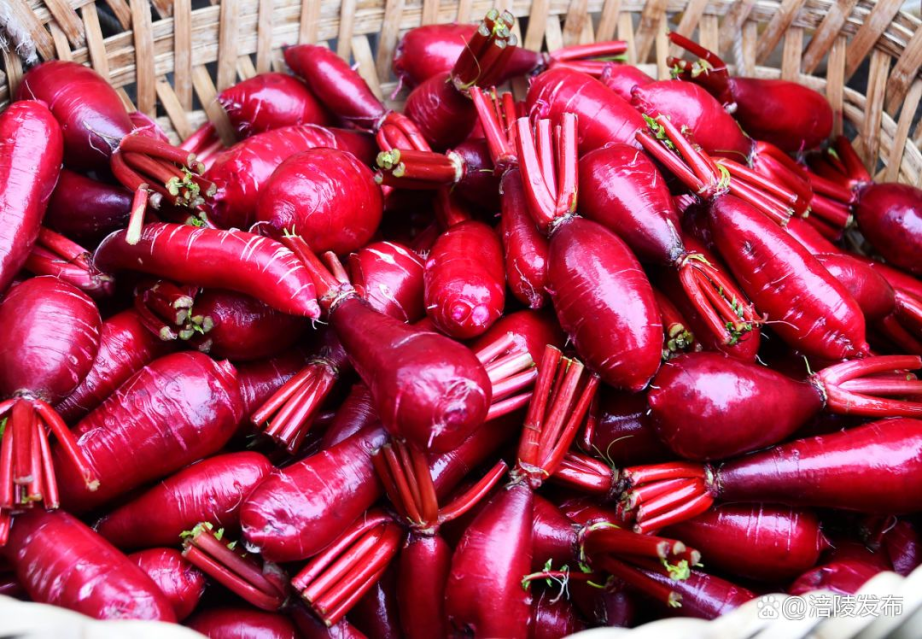 涪陵红心萝卜.市农业农村委供图