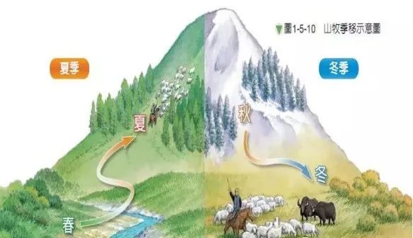 【农业地理】地理视角看什么是转场!天山不是一座山?