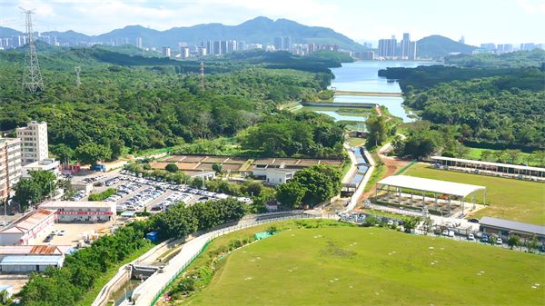 深圳白芒村前白芒河蜿蜒流过,远处为西丽水库. 记者乔凯摄