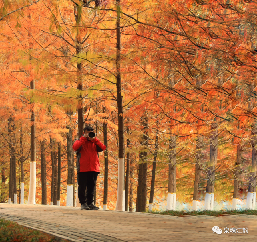 苏仙新闻摄影教程笔记，技巧教学大全
