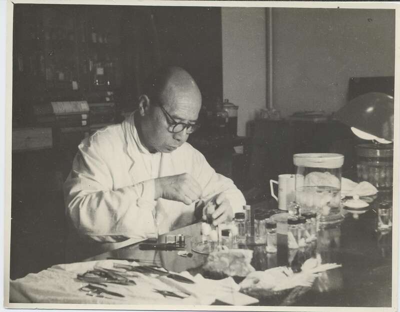 大国科学家秉志中国动物学开山大师