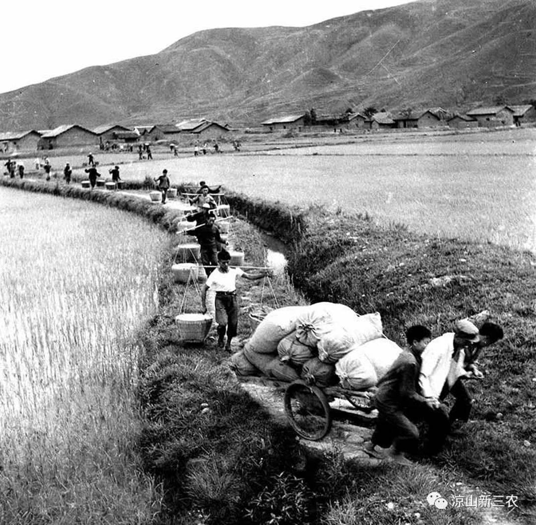 图说凉山70年,农业从“刀耕火种”到“天府第二粮仓”|卫星之眼见证凉山飞跃70年|凉山|卫星|西昌市_新浪新闻