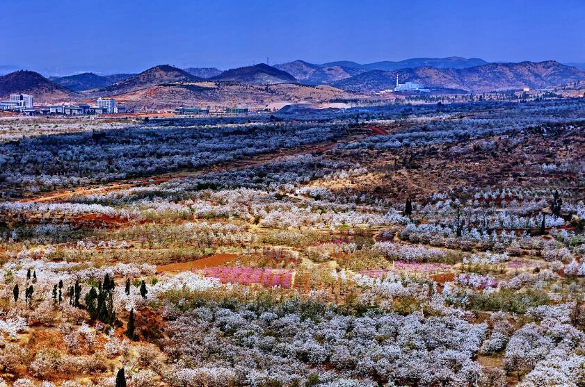 如何在昆明呈贡大学城找到靠谱的约会对象?