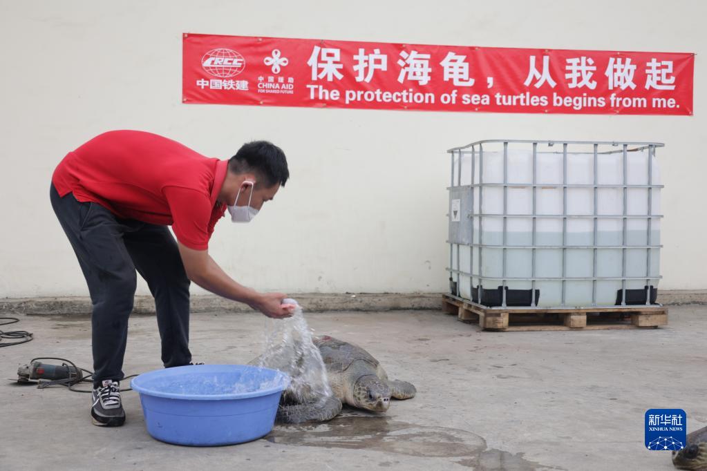 草莓视频和榴莲视频在线