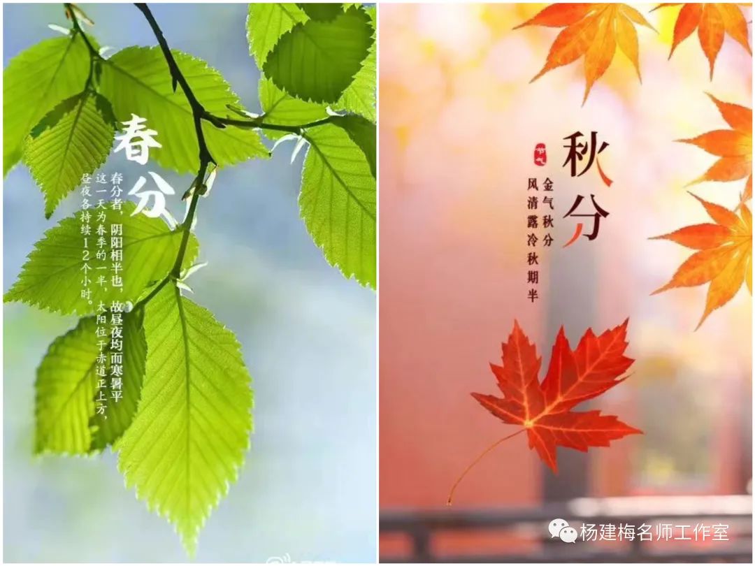 【气象地理】 同是季节转换，为何感觉秋天凉飕飕，春天暖烘烘？地理视角看西太平洋副热带高压__财经头条