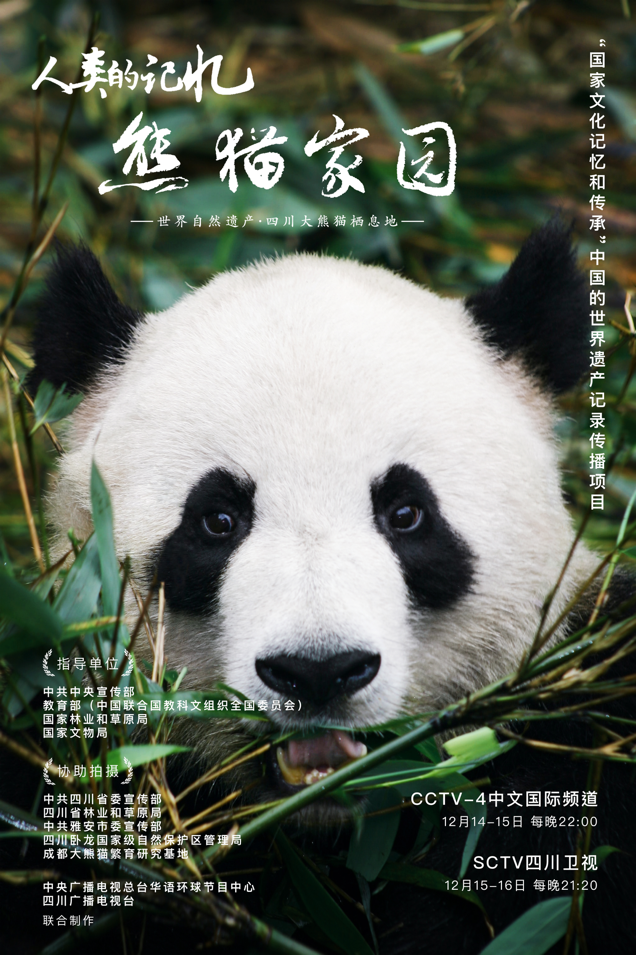 历时一年半跟踪拍摄 纪录片《熊猫家园》今晚央视首播|纪录片|大熊猫
