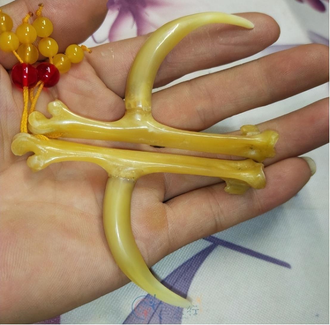 二,鸡蹬子:它就是鸡蹬子,家里养过鸡的人应该都知道,但却很少有人知道