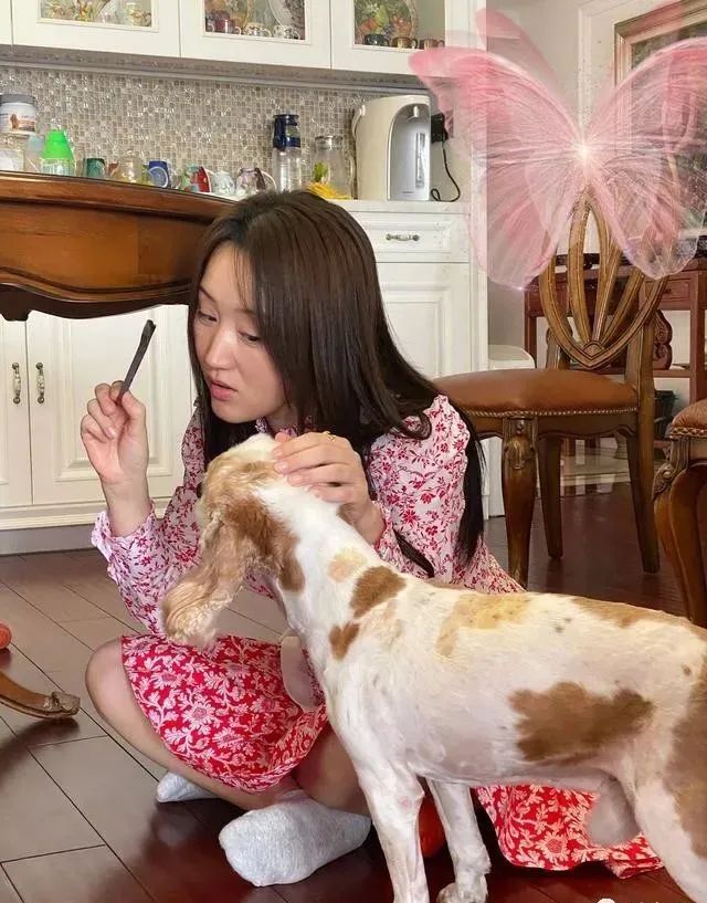 51岁杨钰莹工地演出?舞台简陋人烟稀少,"玉女掌门人"落魄成这样了?