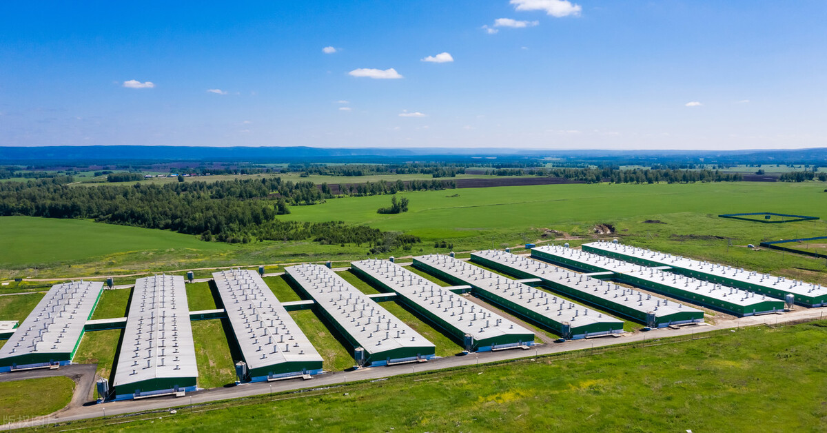 楼房养猪成绩中等偏上,牧原为何却不以它为主要模式?