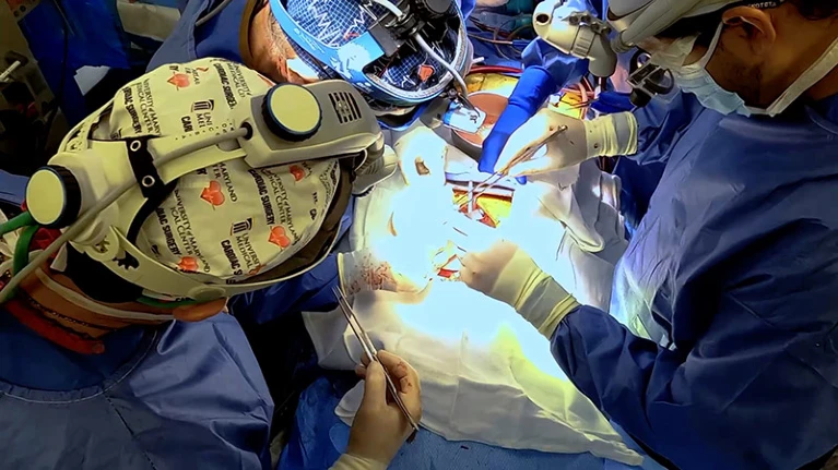 1月份，马里兰州巴尔的外科医生将第一颗猪心脏移植到人体中。