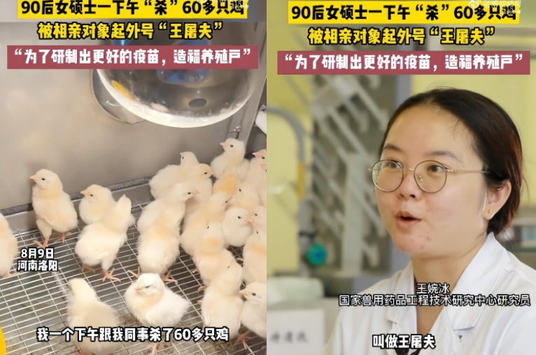 硕士为做实验一次杀60多只鸡,被相亲对象起名“屠夫”后果断分手...