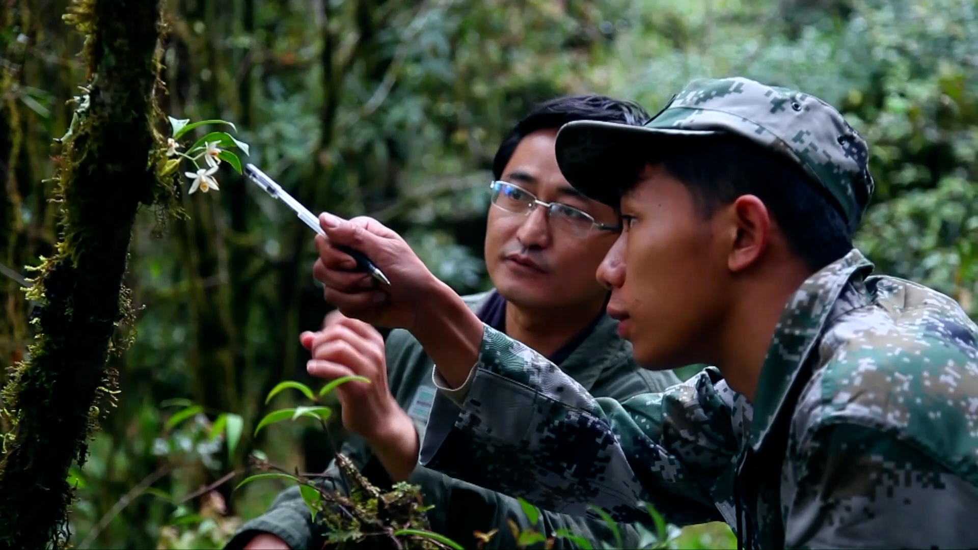 真相揭晓！杭州野鸡真的存在吗？探寻背后的真相与城市生态变化揭秘