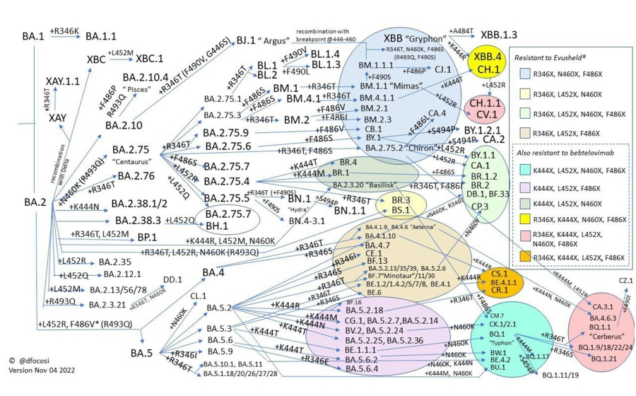  rna 