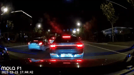 微博网友视频截图