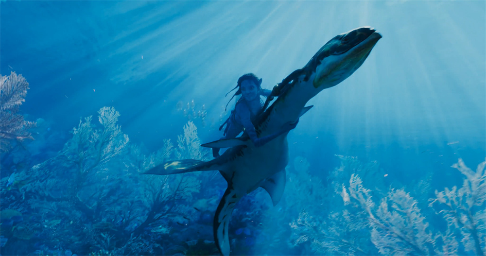 孩子们的坐骑伊鲁