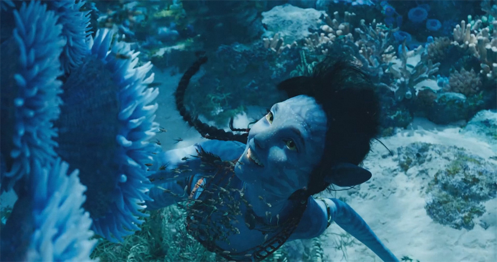 格蕾丝的女儿琪莉，被杰克和奈蒂莉收养