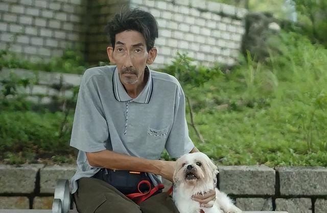 车保罗的消失,是娱乐圈的悲哀(保罗怎么了?)-收录库娱乐资讯