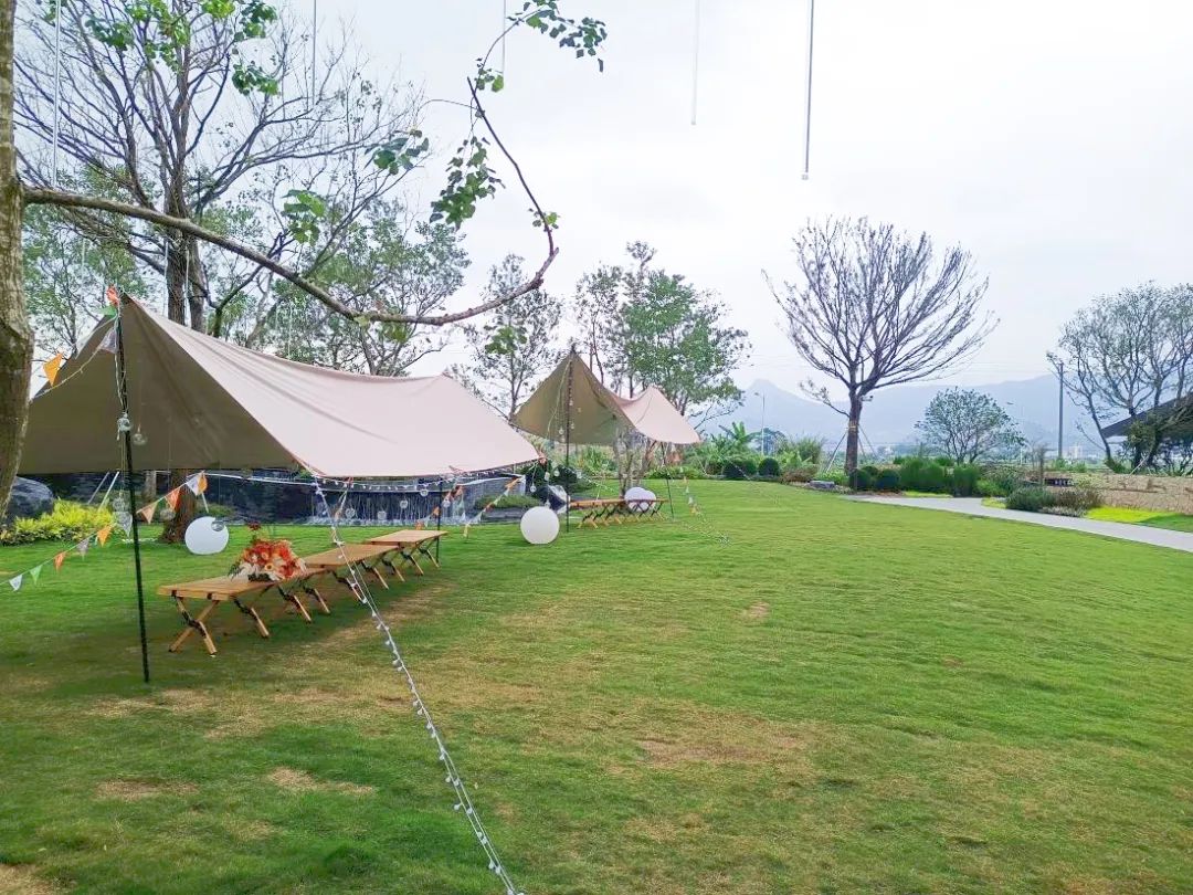 神湾磨刀岛这个亲子游玩打卡点,你来过了吗?__财经头条