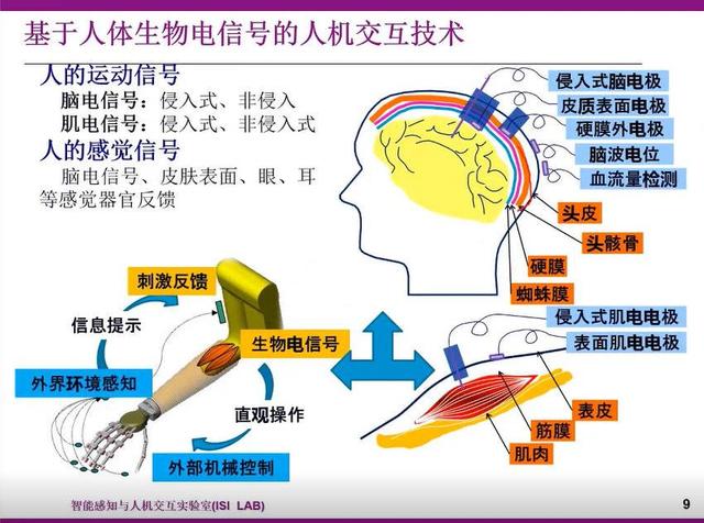 针对这个人脑"银河系"的脑机接口技术,则需要根据不同的"星体"进行