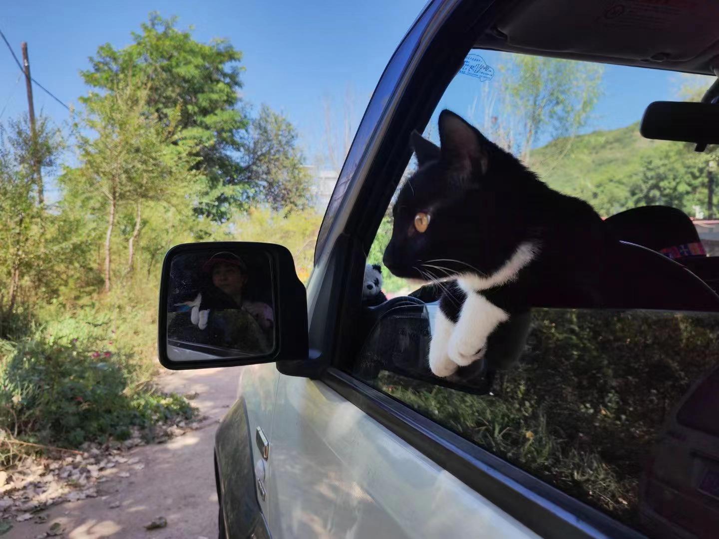 趴在车窗上的小妖.受访者供图