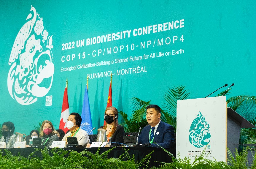 伊利集团执行总裁刘春喜在COP15第二阶段会议的高级别会议上作重要发言