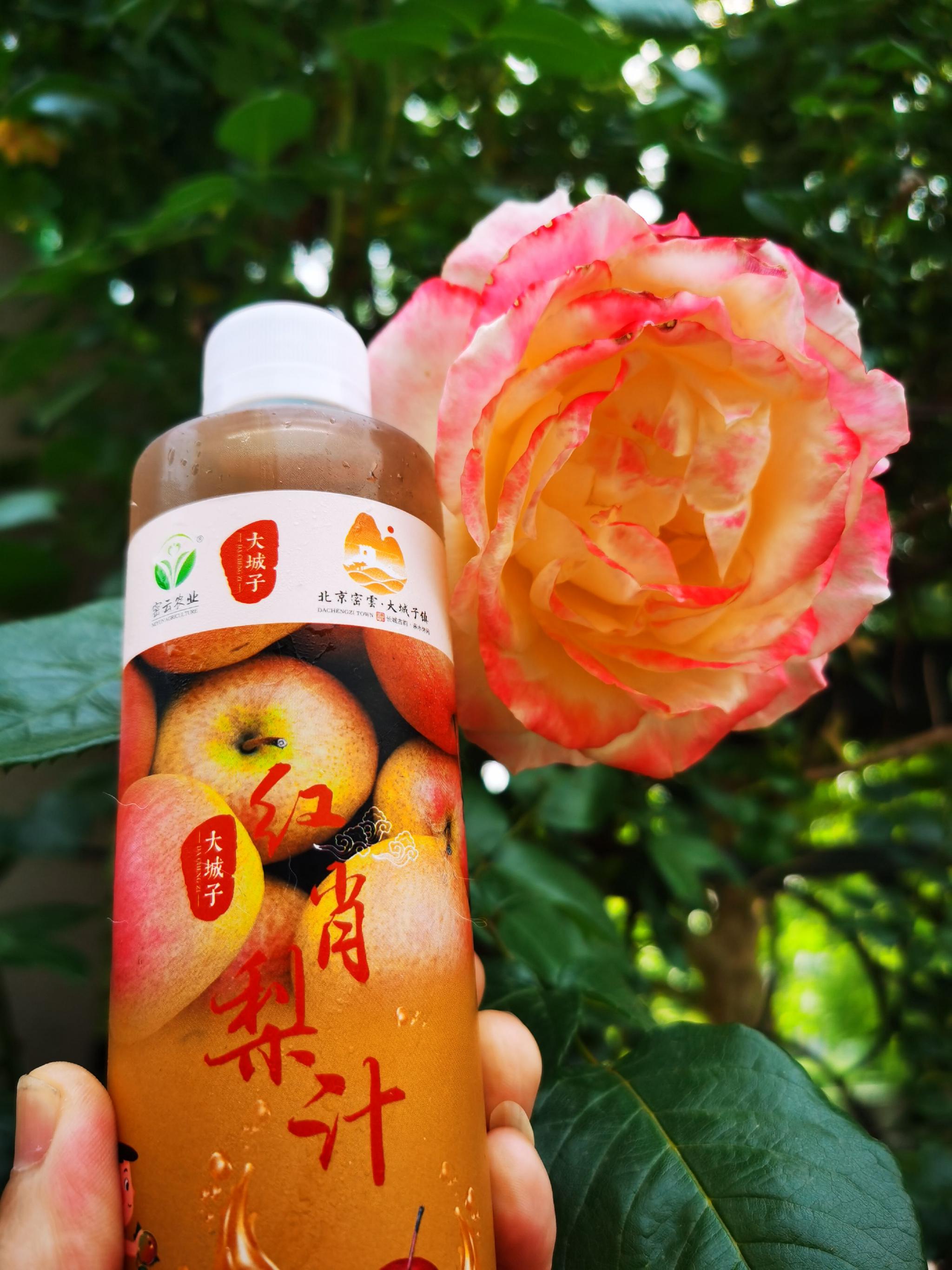 大城子镇生产的红肖梨汁.大城子镇供图