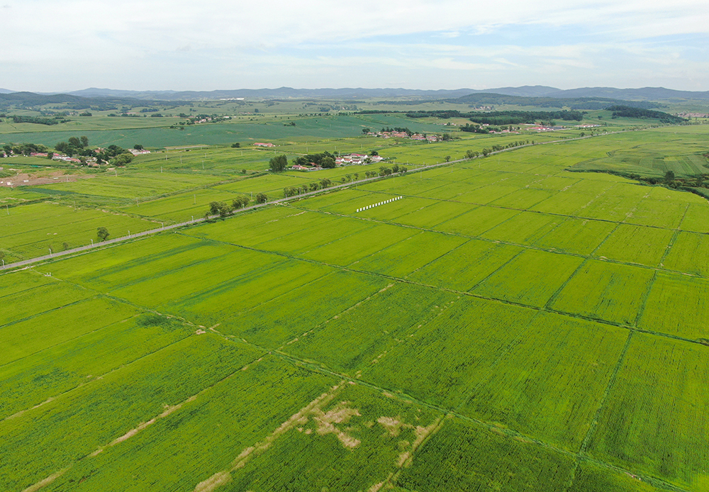 (辽源市委宣传部供图)