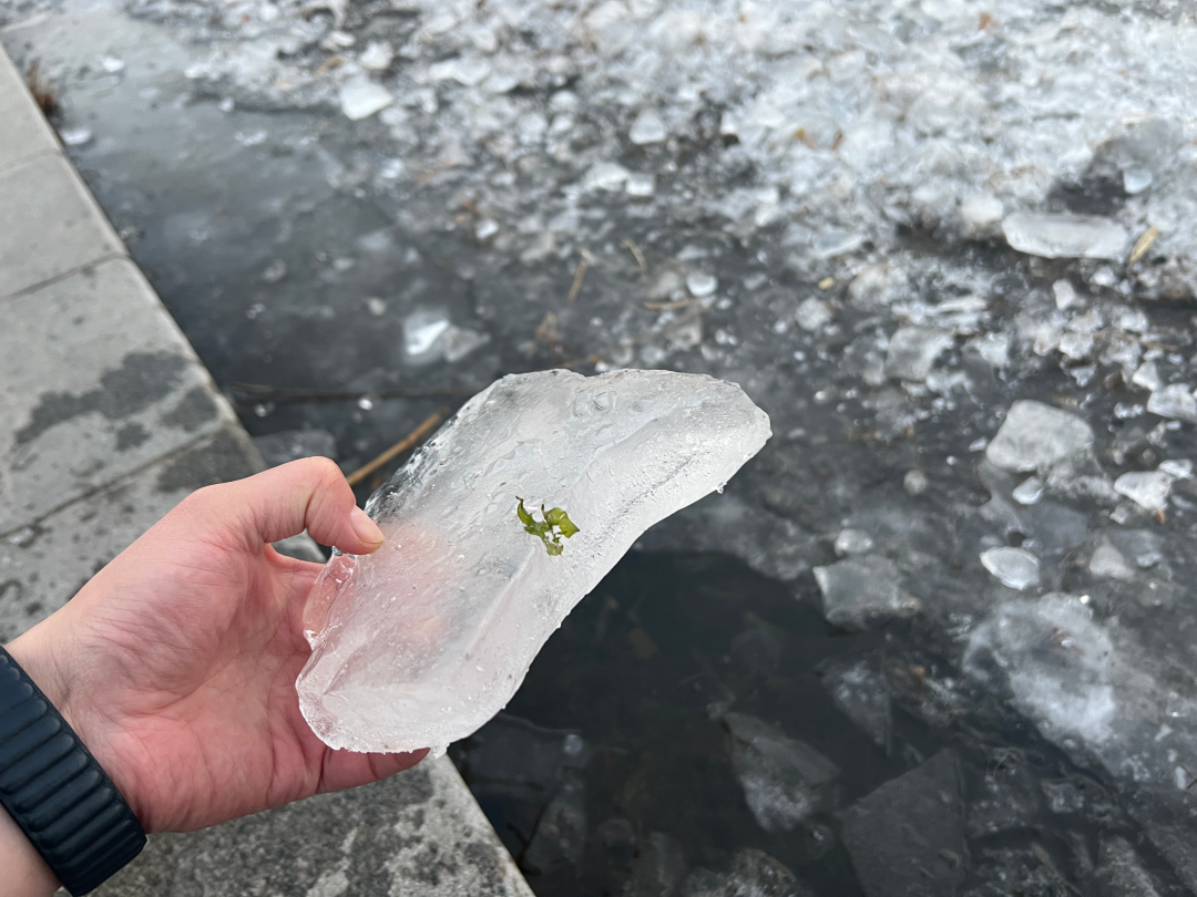 奥林匹克公园再现滑野冰,园方提醒:危险!危险!危险!__财经头条