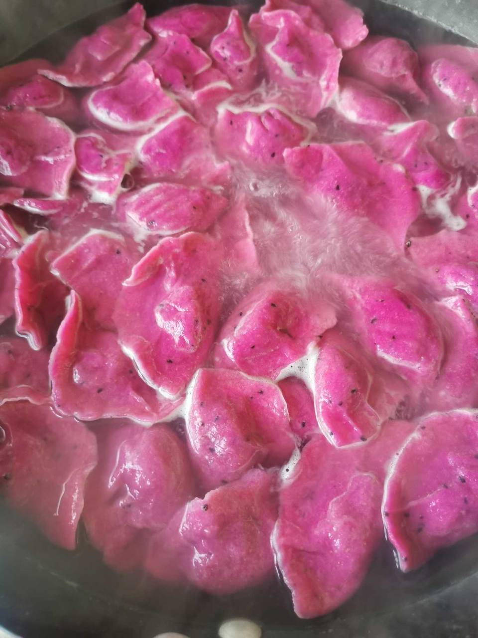 火龙果饺子给冬至增添一点色彩|饺子|水饺|味道_新浪新闻