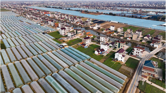 海门四甲镇理论宣讲接地气共绘乡村幸福景