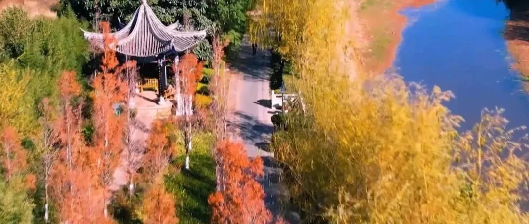 弥渡抓实生态建设 打造绿美城市|园林|覆盖率|弥渡_新浪新闻