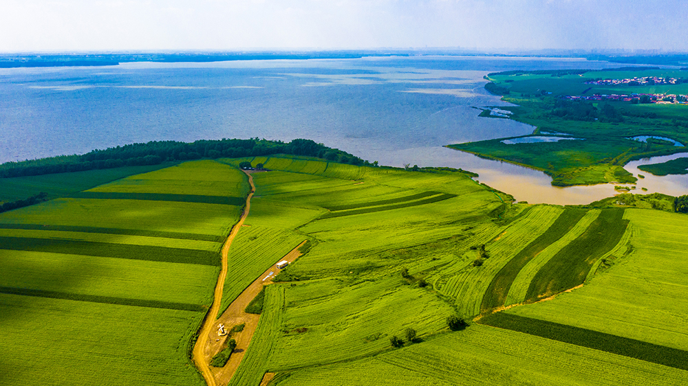 长春净月高新区新湖镇.刘洋 摄