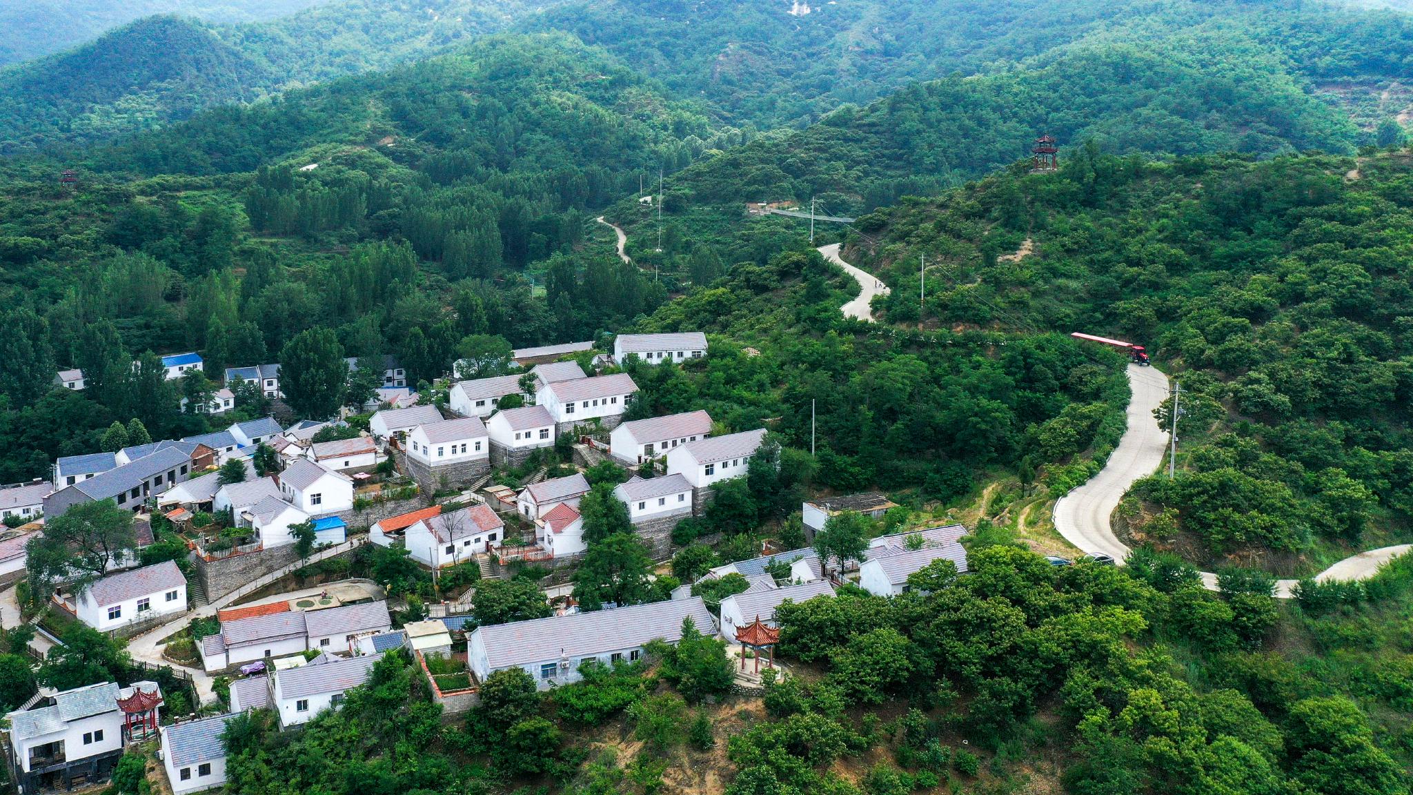 乡村振兴|山东淄博市博山区"人才超市"赋能乡村振兴__财经头条