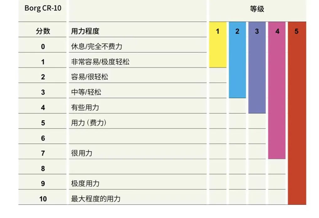主观疲劳感知评估量表。 /图片来自《康复指导手册》