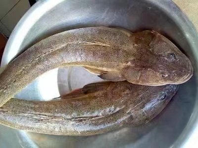 长岛美食 | 壮脸辫子鱼__财经头条