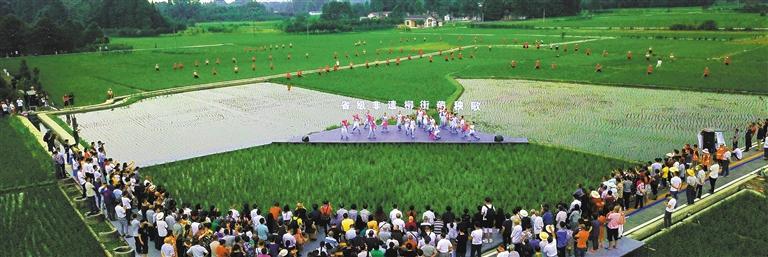 这都可以（古堰画乡摄影作品）古堰画乡写生作品，(图3)