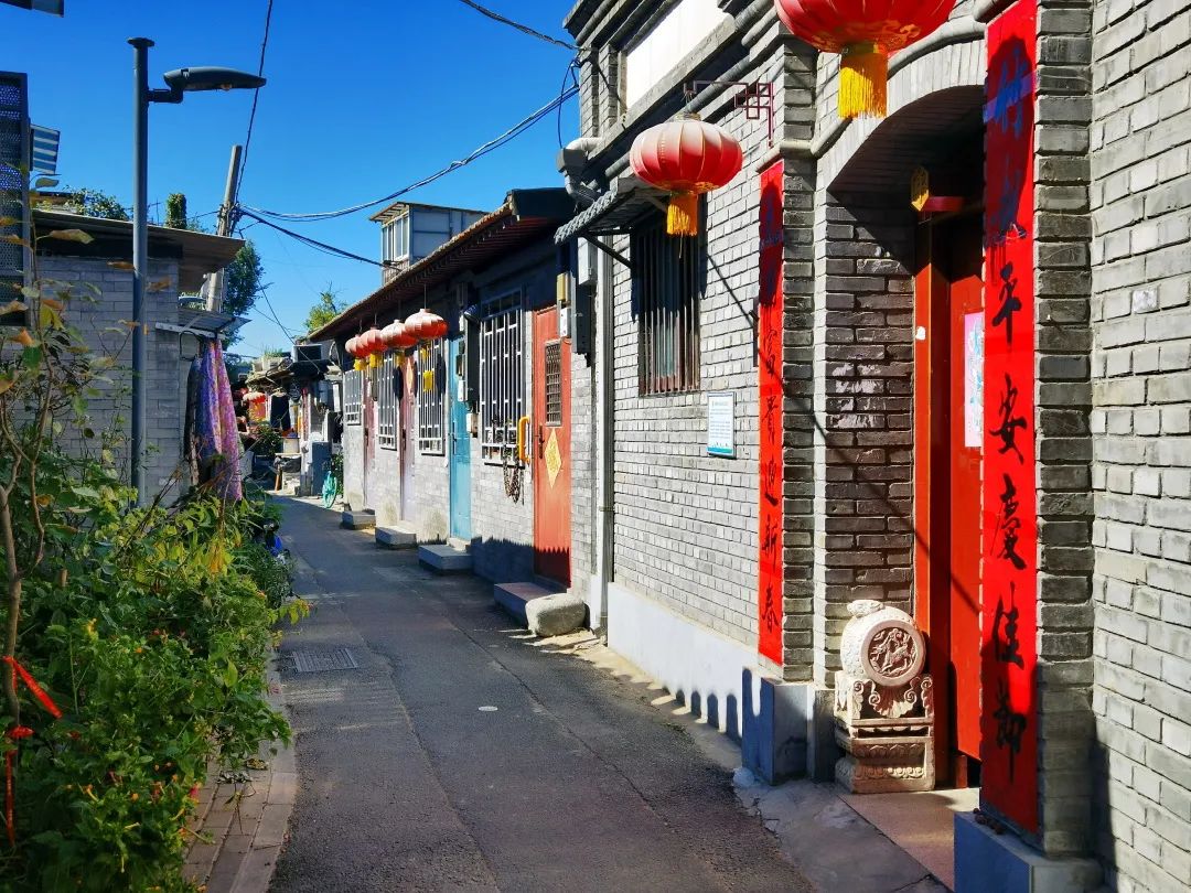 《后海胡同》 王琼 / 摄