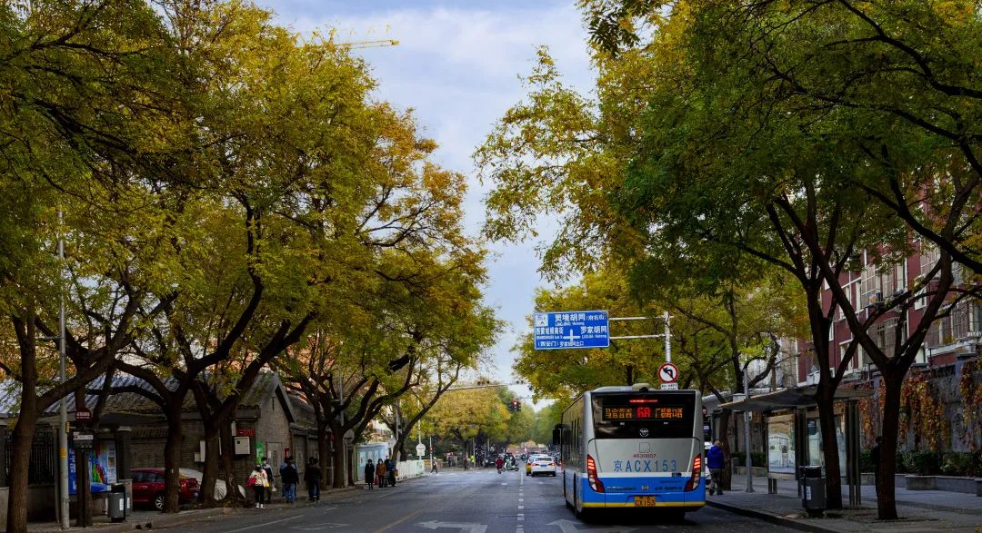 《灵境胡同——北京最宽的胡同》 赵伯康 / 摄