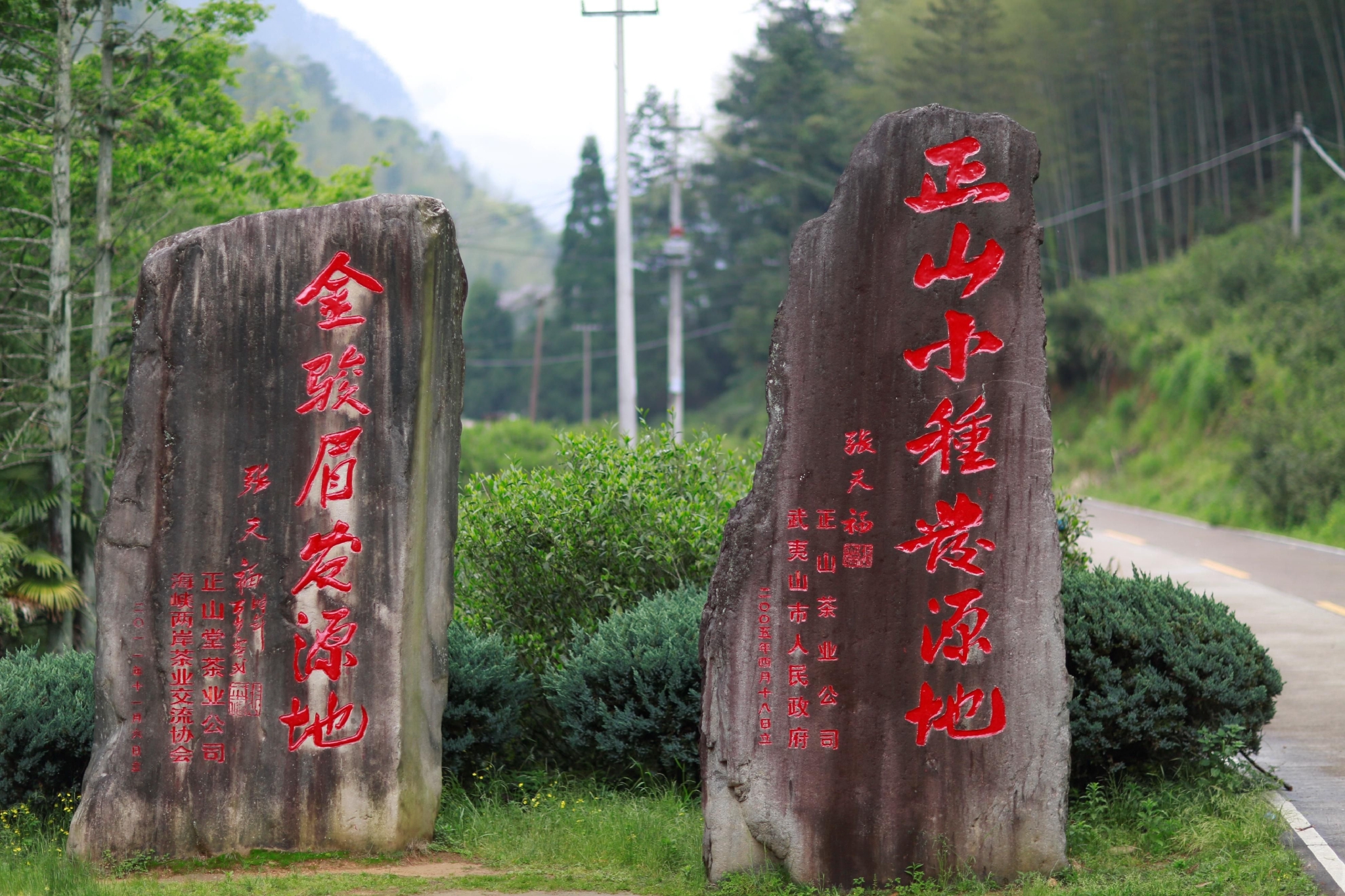 茶入人心!正兴府正宗武夷山桐木关金骏眉,一杯就能引人入魂|桐木|金骏|正兴_新浪新闻