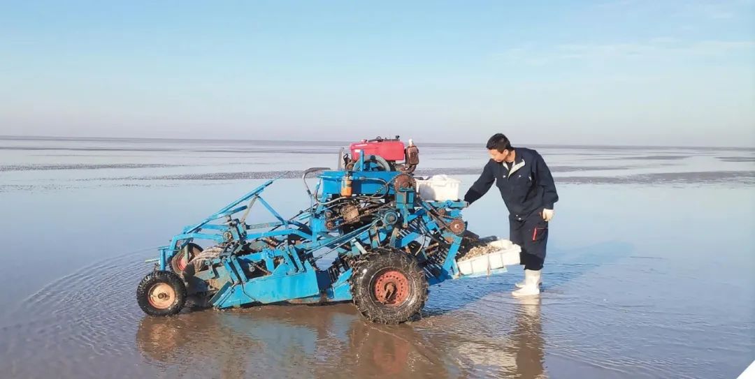 机械与动力工程学院高级实验师母刚,不断改进自走式滩涂贝类采捕装备
