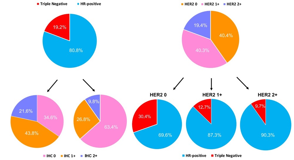 图2.HER2阴性乳腺癌按照HR状态、HER2-low状态、IHC评分的亚型分类