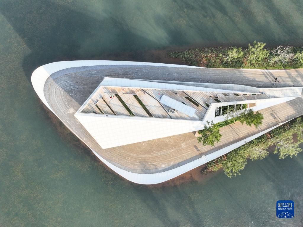 鸟瞰海口西秀公园|海口市|海南省|张丽芸|绿洲|荒地_新浪新闻
