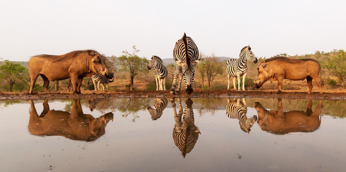 宇宙膨胀与引力拉扯 天体运动背后的科学原理