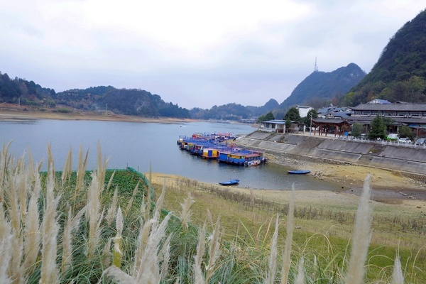 清镇:"治房"治出富美乡村新面貌|农村|清镇市_新浪新闻