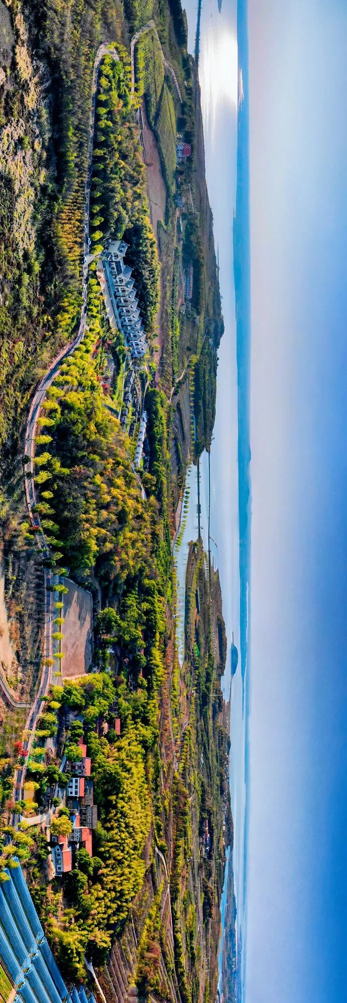 91 舒安枫香云堡 江夏融媒摄影队张红霞摄