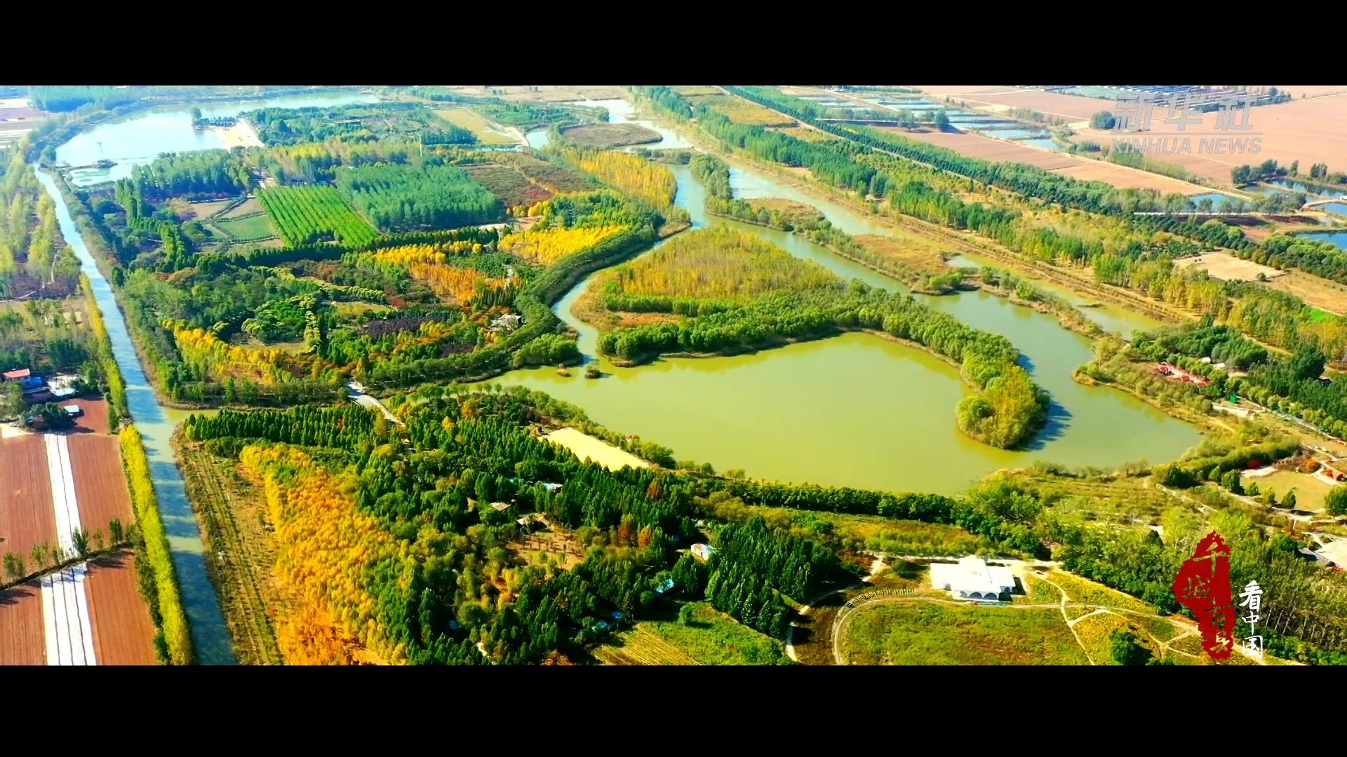 千城百县看中国|山东菏泽:黄河滩区群众的幸福生活|中国|菏泽市_新浪