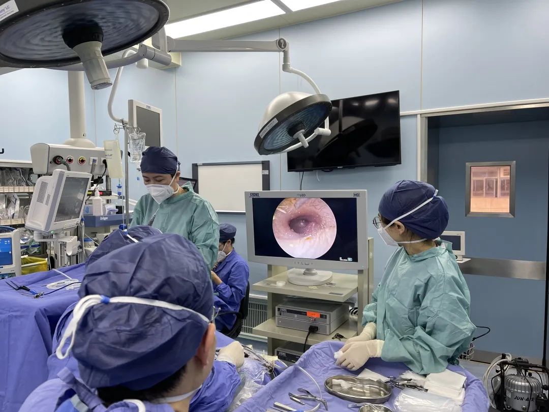 包含复旦大学附属眼耳鼻喉科医院浦东分院医院黄牛挂号，就诊助手医疗顾问的词条