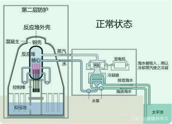 核电：一种更花式的烧开水方式